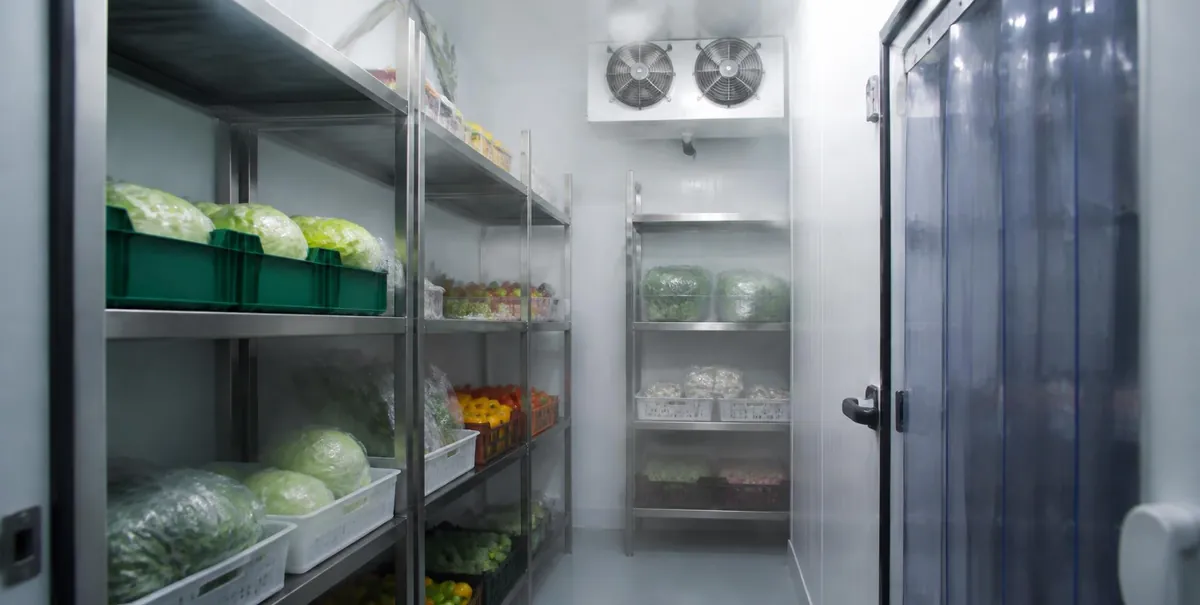 Walk-in cold room with stainless steel shelving of fresh produce and a ceiling evaporator